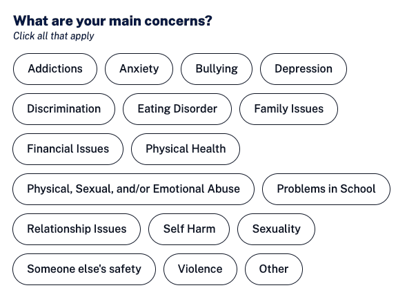 After — multi-select pill layout for main concerns, wrapping grid